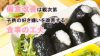 子供の偏食…成長への影響は?原因や偏食を悪化させない対策 子供の偏食…成長への影響は?原因や偏食を悪化させない対策