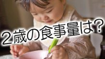 ２歳の食事量はどれくらい？イヤイヤ期に食べない時の対策