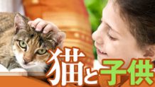 猫と子供の仲良しエピソード！気持ちがあたたかくなる体験談15