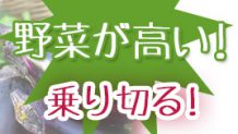 野菜が高い！高騰で買えない時期を乗り切るテクニック