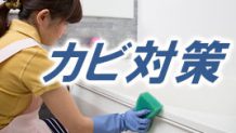 カビ対策をしよう！部屋・窓・風呂に生やさない防止策と除去方法