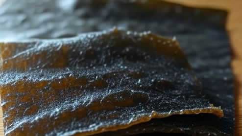 昆布の栄養成分を丸ごと理解！基本から含有量・分類までの詳解
