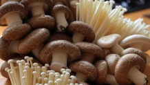 きのこの栄養を深掘り！種類別栄養素と調理で変わる効果的な摂り方