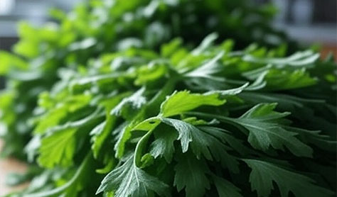 春菊の栄養を徹底解説｜おいしく食べてしっかり摂る方法とおすすめレシピ