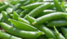 スナップエンドウの栄養を正しく知ろう：茹で方や保存法で変わる栄養価と美味しさ