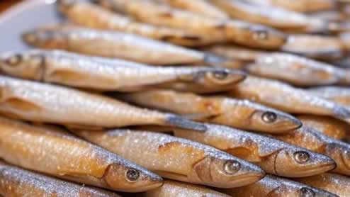 ししゃもの栄養成分を徹底解説！本ししゃも・子持ちの違いとレシピ活用法
