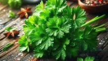 パセリの栄養バランスを知ろう！成分情報とおすすめの食べ方・保存法まとめ
