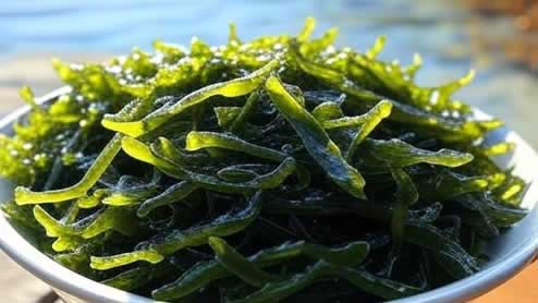わかめの栄養であなたの体が生まれ変わる！最新研究が明かす最強スーパーフードの真実